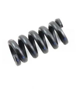 Kyosho Slipper Spring